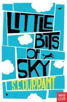 Little Bits of Sky, Paperback/S E Durrant