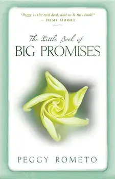 Little Book of Big Promises/Peggy Rometo