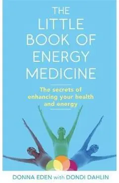 Little Book of Energy Medicine