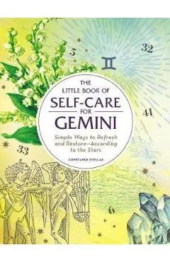 Little Book of Self-Care for Gemini