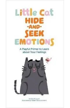 Little Cat Hide-And-Seek Emotions: A Playful Primer to Learn about Your Feelings - Audrey Bouquet