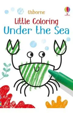 Little Coloring Under the Sea - Kirsteen Robson
