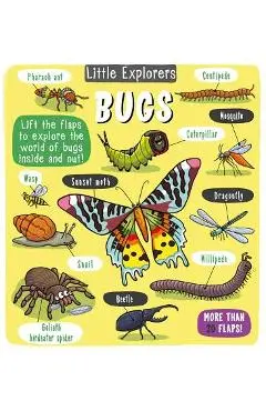 Little Explorers: Bugs - Little Bee Books