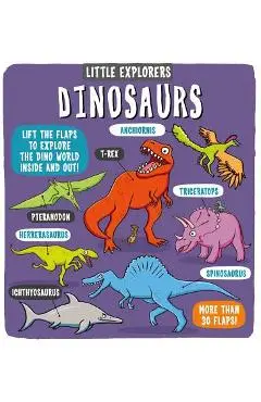 Little Explorers: Dinosaurs - Little Bee Books