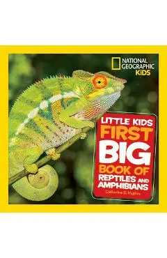 Little Kids First Big Book of Reptiles and Amphibians - Catherine D. Hughes