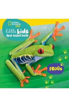 Little Kids First Board Book: Frogs - Ruth Musgrave