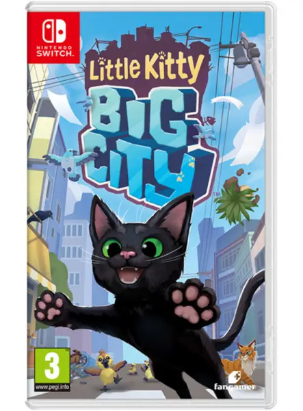 Little Kitty Big City NSW