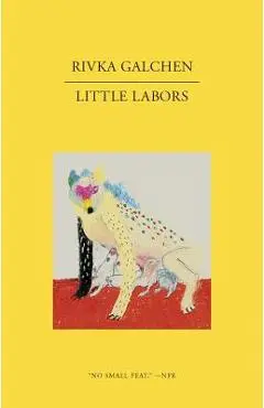 Little Labors - Rivka Galchen