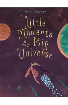 Little Moments in a Big Universe - Todd Stewart
