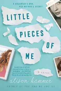 Little Pieces of Me, Paperback/Alison Hammer