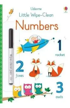 Little Wipe-Clean Numbers