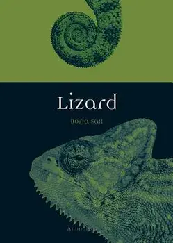 Lizard, Paperback/Boria Sax