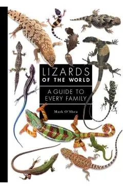 Lizards of the World: A Guide to Every Family - Mark O'shea