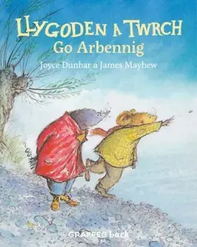 Llygoden a Twrch Go Arbennig, Paperback/Joyce Dunbar