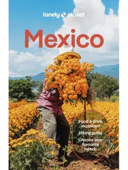 Lonely Planet Mexico. 19 ed, Paperback/Paul Stafford