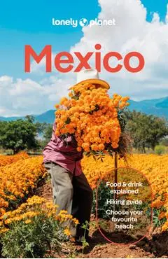 Lonely Planet Mexico - Lonely Planet