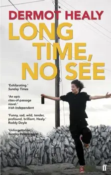 Long Time, No See. Main, Paperback/Dermot Healy