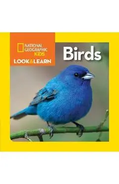 Look and Learn: Birds -