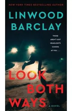 Look Both Ways - Linwood Barclay