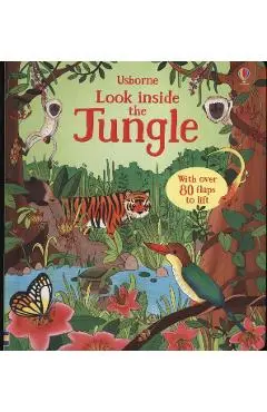 Look Inside the Jungle