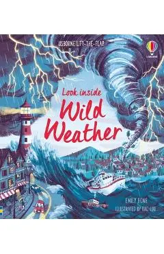 Look Inside Wild Weather - Emily Bone