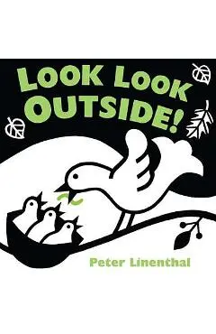 Look Look Outside! - Peter Linenthal