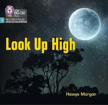 Look Up High. Phase 3 Set 2, Paperback/Hawys Morgan