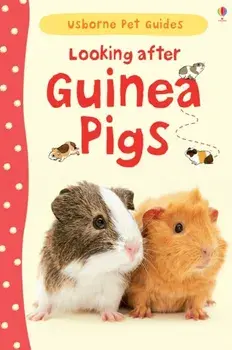 Looking after Guinea Pigs, Hardback/Laura Howell
