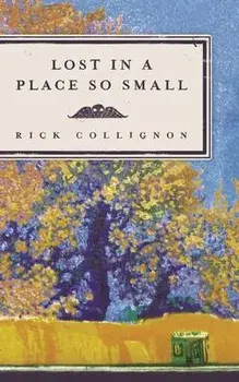 Lost in a Place So Small, Paperback/Rick Collignon