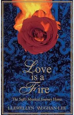 Love Is a Fire: The Sufi's Mystical Journey Home - Llewellyn Vaughan-lee