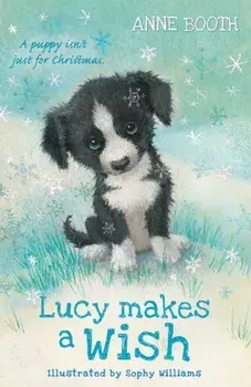 Lucy Makes a Wish, Paperback/Anne Booth