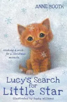 Lucy's Search for Little Star, Paperback/Anne Booth