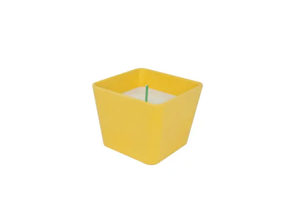 Lumanare - Bamboo Sweet Cinnamon | Woodway