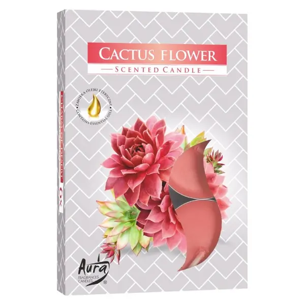 Lumanari Pastila, 4 Ore, Floare de Cactus, 6 Bucati