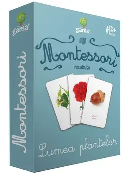 Lumea plantelor. Vocabular/***