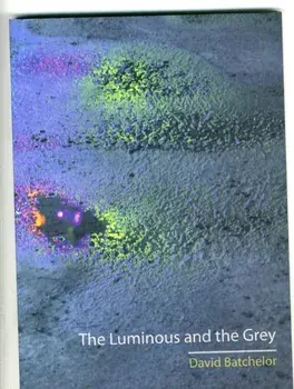 Luminous and the Grey, Paperback/David Batchelor