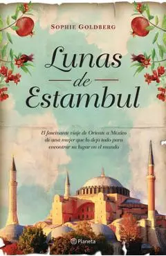 Lunas de Estanbul - Sophi Goldberg