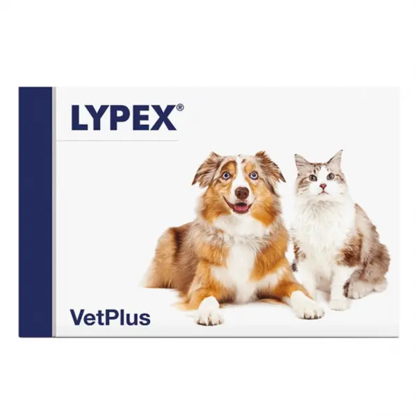 Lypex 60 capsule