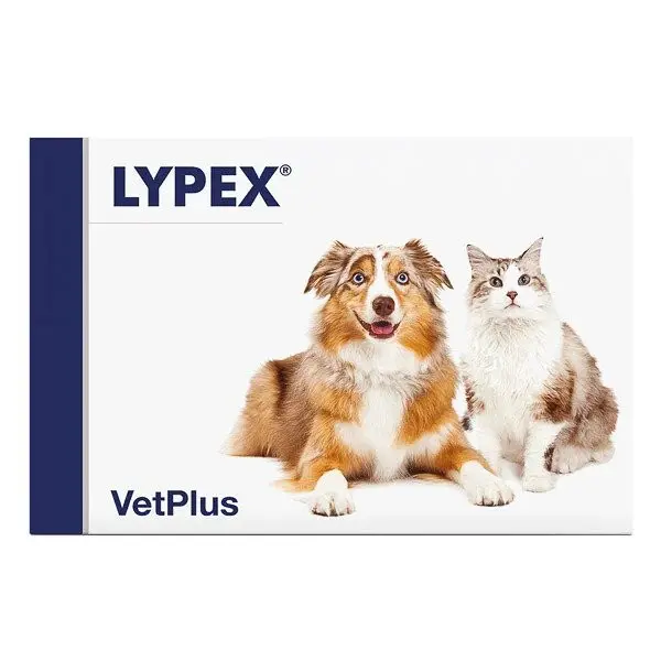 Lypex, 60 capsule