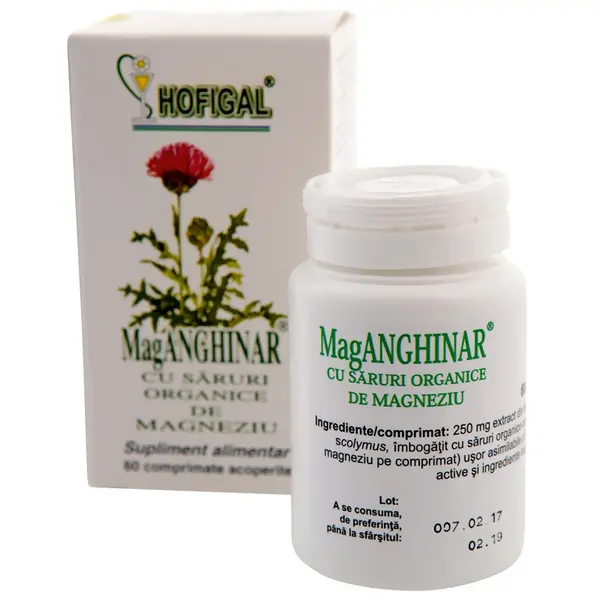 Mag Anghinar 60 comprimate