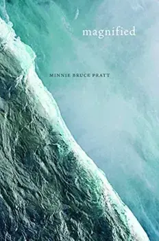 Magnified, Paperback/Minnie Bruce Pratt
