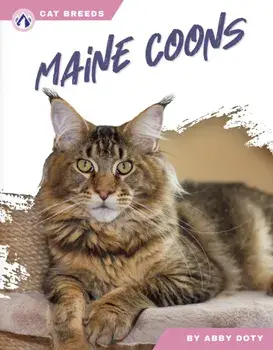 Maine Coons, Hardback/Abby Doty