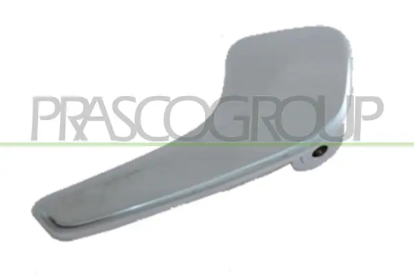 Mâner usa, echipare interioara PRASCO OP0348805