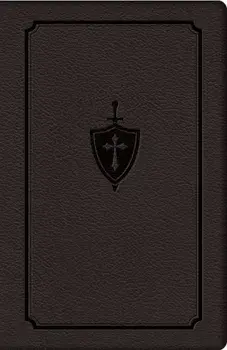 Manual for Conquering Deadly Sin, Hardcover/Dennis Kolinski S. J. C.