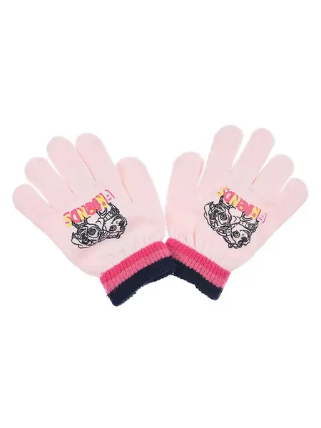 Manusi Paw Patrol
