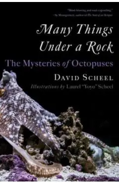 Many Things Under a Rock: The Mysteries of Octopuses - David Scheel