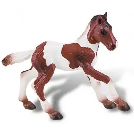 Manz, cal Paint Horse