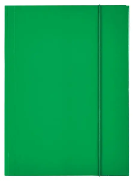 Mapa carton A4 cu elastic Esselte Economy verde