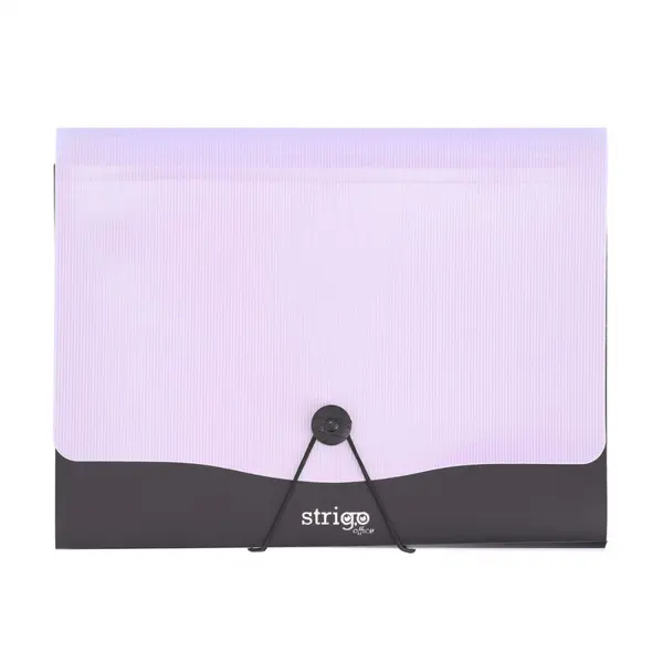 Mapa Strigo A4 cu 13 compartimente, elastic si clips
