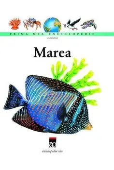 Marea/***